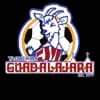 Taqueria Guadalajara Anaheim Anaheim logo